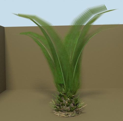Small Palm preview image